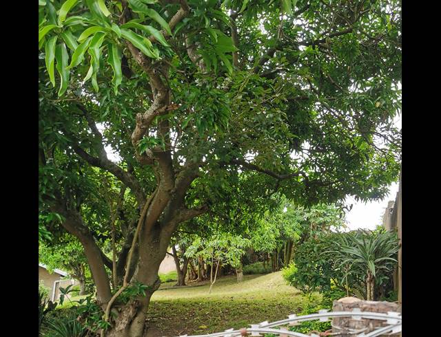 625M² VACANT LAND FOR SALE IN SEA COW LAKE